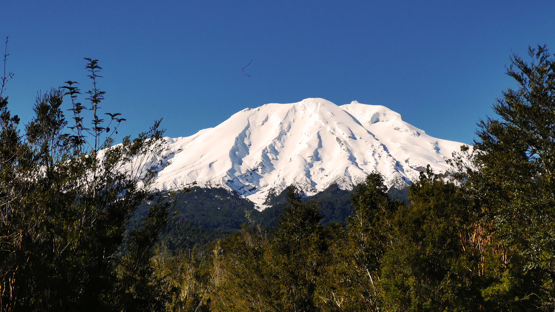 Invierte en compra de terrenos agrícolas en Llanquihue